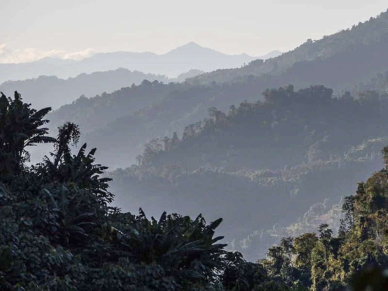 Assam Arunachal Tour Image